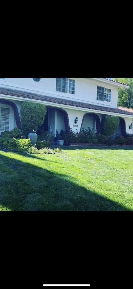 Reliable landscape installation in Camarillo, CA - Sunlight Tree Service & Landscaping
