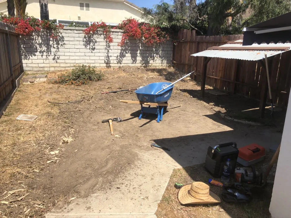 Trusted yard maintenance in Camarillo, CA by Sunlight Tree Service & Landscaping
