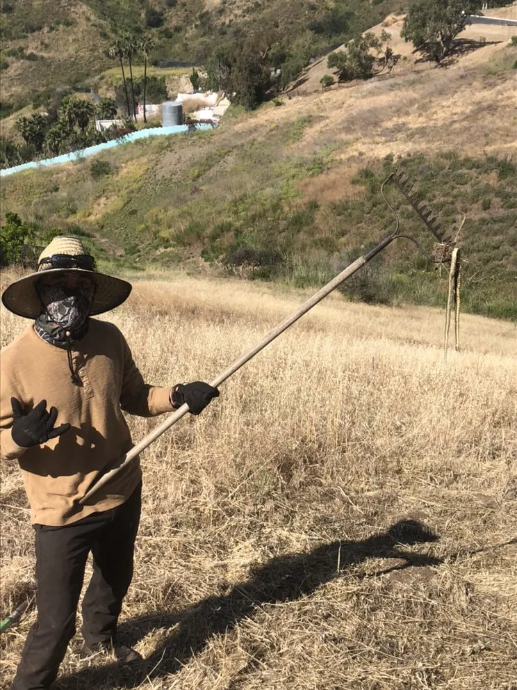 Custom yard cleanup service experts serving Camarillo, CA - Sunlight Tree Service & Landscaping