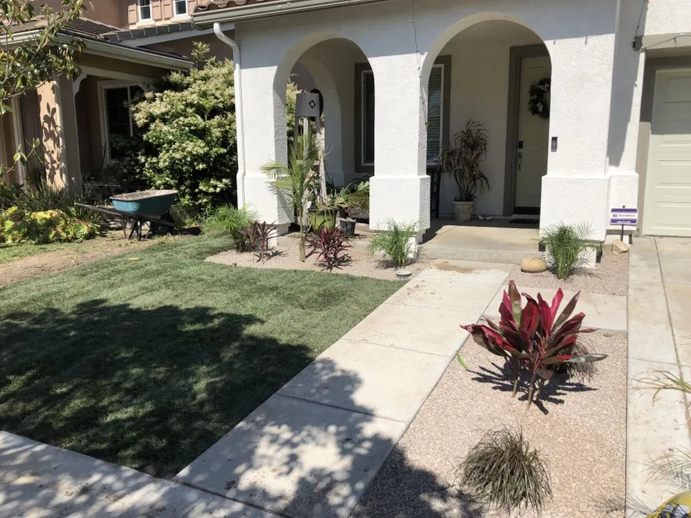 Trusted yard cleanup service experts serving Camarillo, CA - Sunlight Tree Service & Landscaping