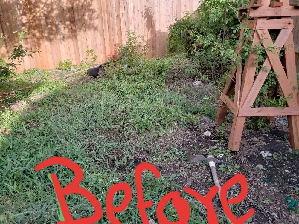 Professional landscaping services in Austin, TX by Sunlight Tree Service