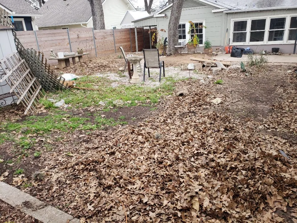 Reliable lawn mowing service in Austin, TX by Sunlight Tree Service