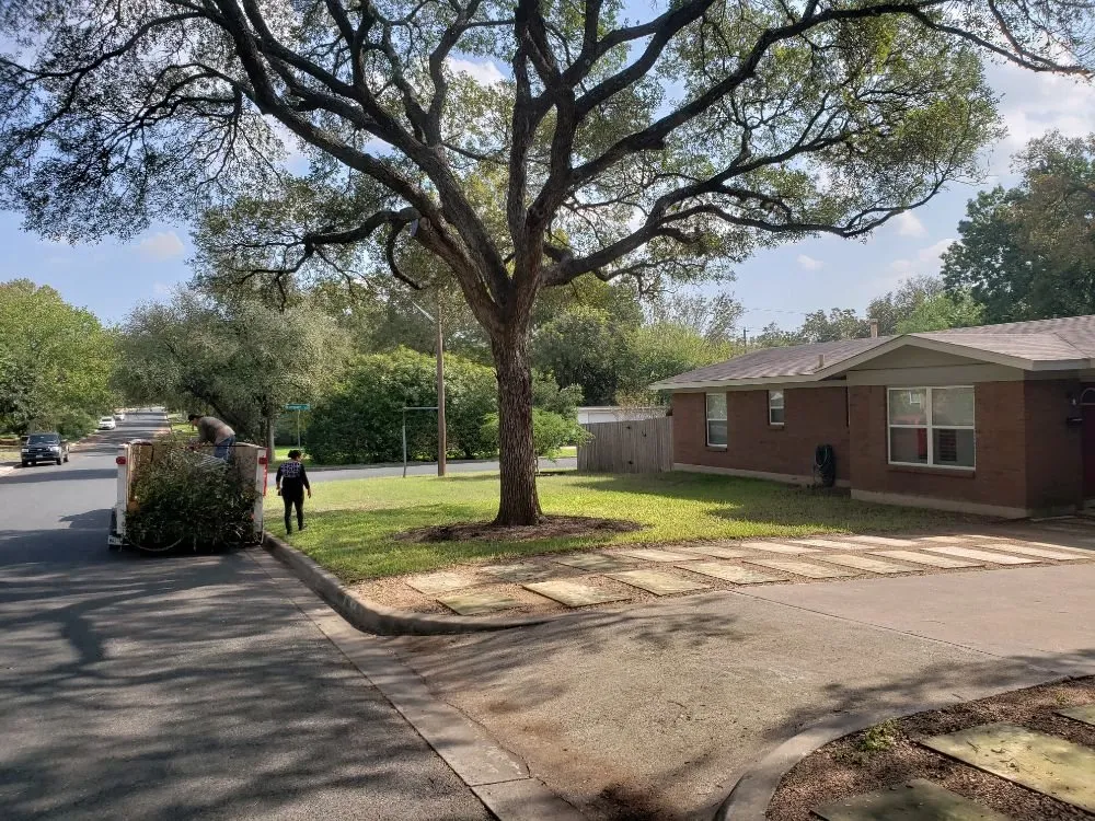 Affordable landscaping services for outdoor upgrades across Austin, TX - Sunlight Tree Service