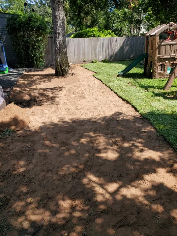 Trusted landscaping services in Austin, TX - Sunlight Tree Service