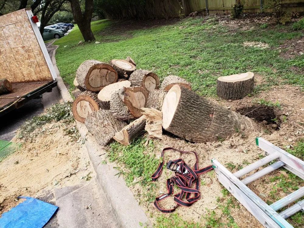 Trusted landscaping services for residential properties across Austin, TX - Sunlight Tree Service
