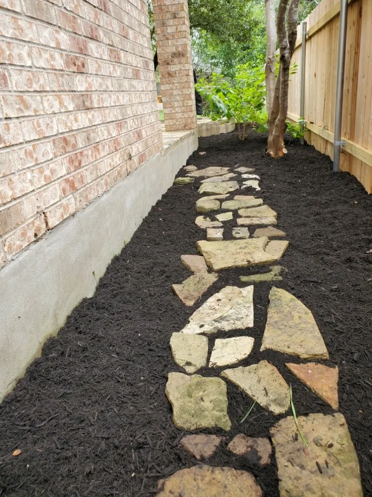 Expert yard maintenance for year-round maintenance across Austin, TX - Sunlight Tree Service