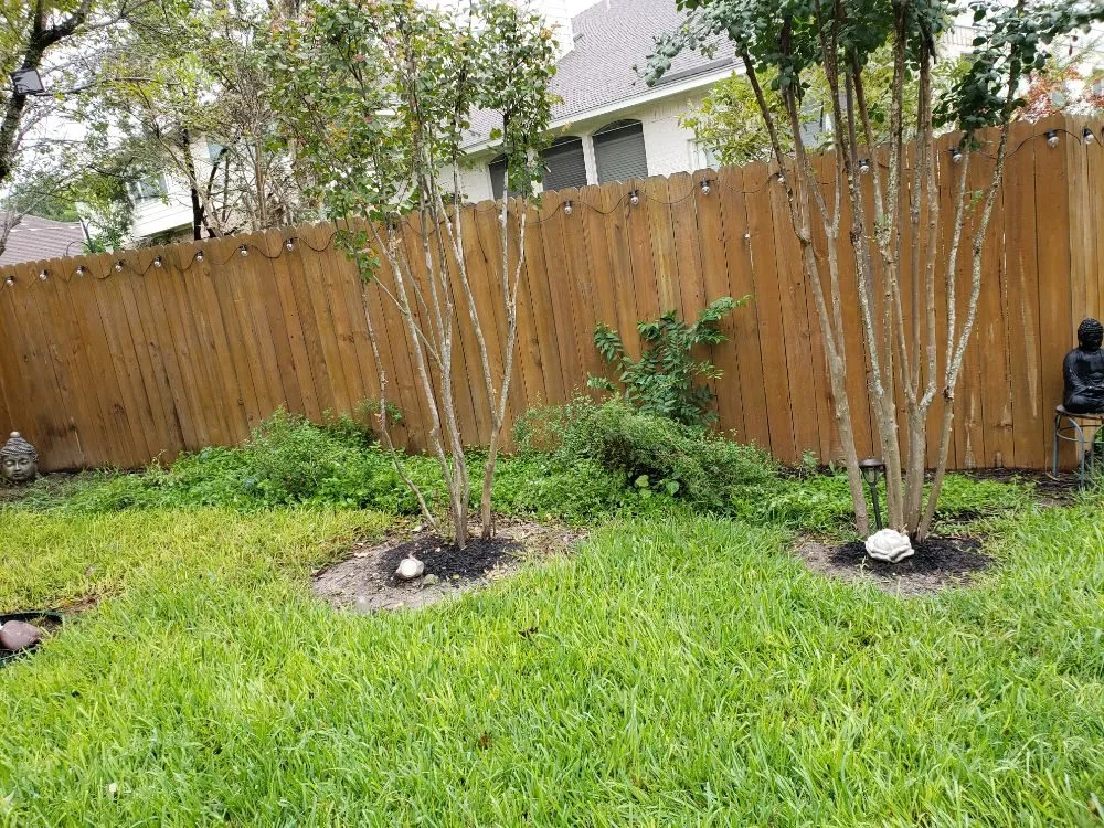 Trusted landscape installation in Austin, TX - Sunlight Tree Service