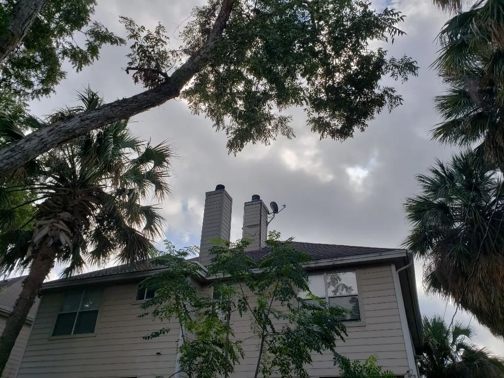 Custom lawn care service experts serving Austin, TX - Sunlight Tree Service