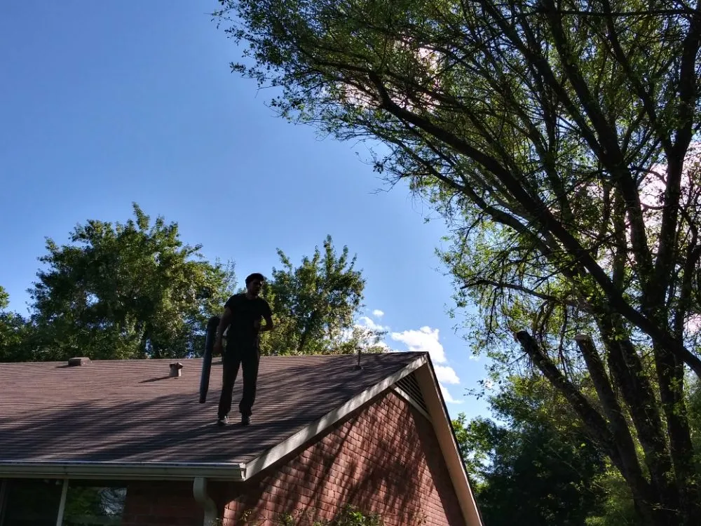 Trusted landscaping services experts serving Austin, TX - Sunlight Tree Service