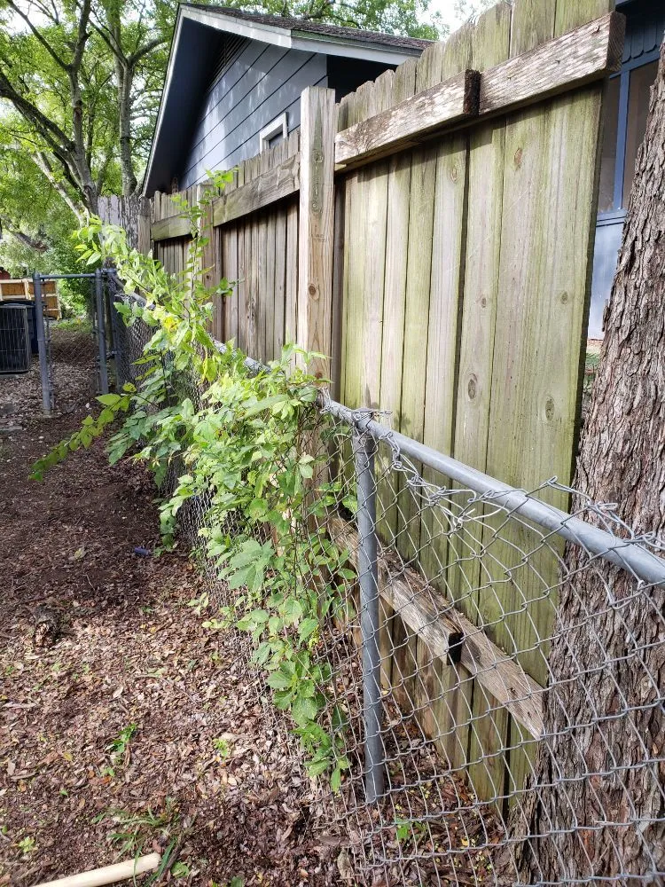 Reliable landscape installation in Austin, TX by Sunlight Tree Service