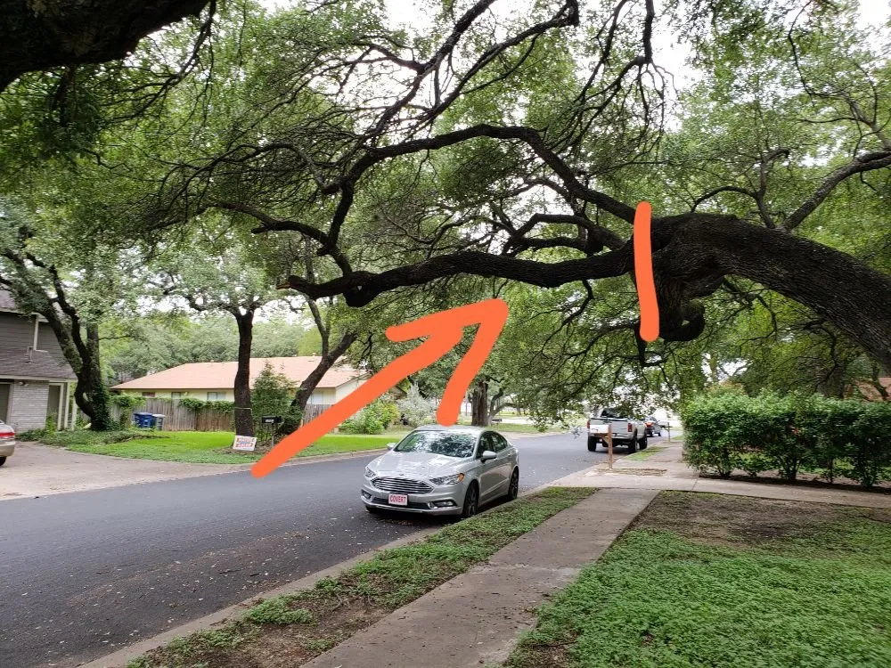 Expert lawn mowing service experts serving Austin, TX - Sunlight Tree Service