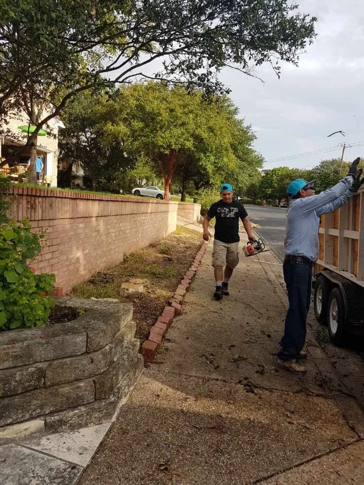 Trusted outdoor landscaping in Austin, TX by Sunlight Tree Service