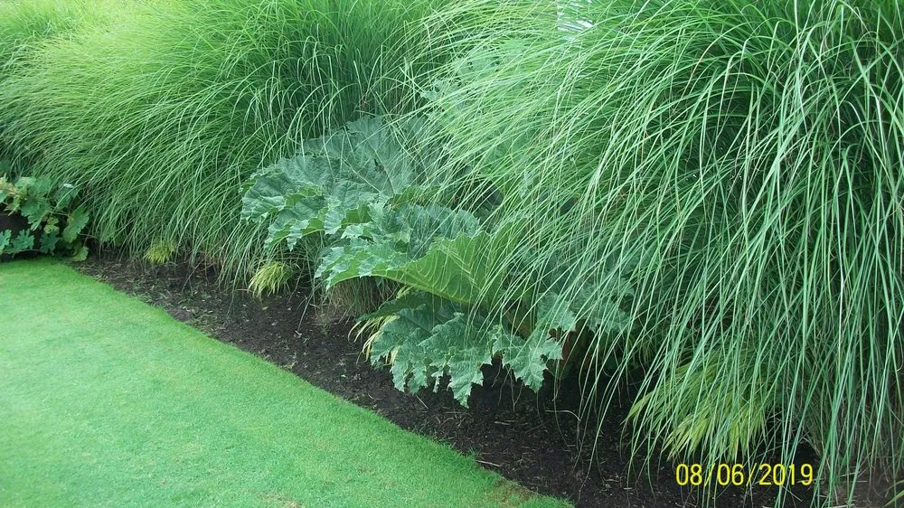 Professional residential landscaping in Ocean Park, WA by Sunliner Lawn and Garden