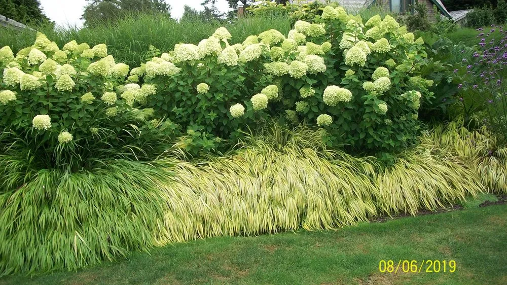 Top-rated landscaping services for beautiful yards across Ocean Park, WA - Sunliner Lawn and Garden