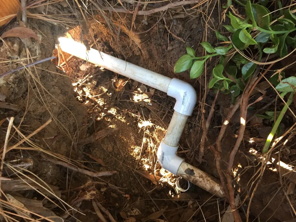 Trusted yard maintenance for beautiful yards in El Cajon, CA by Sunlite Landscape