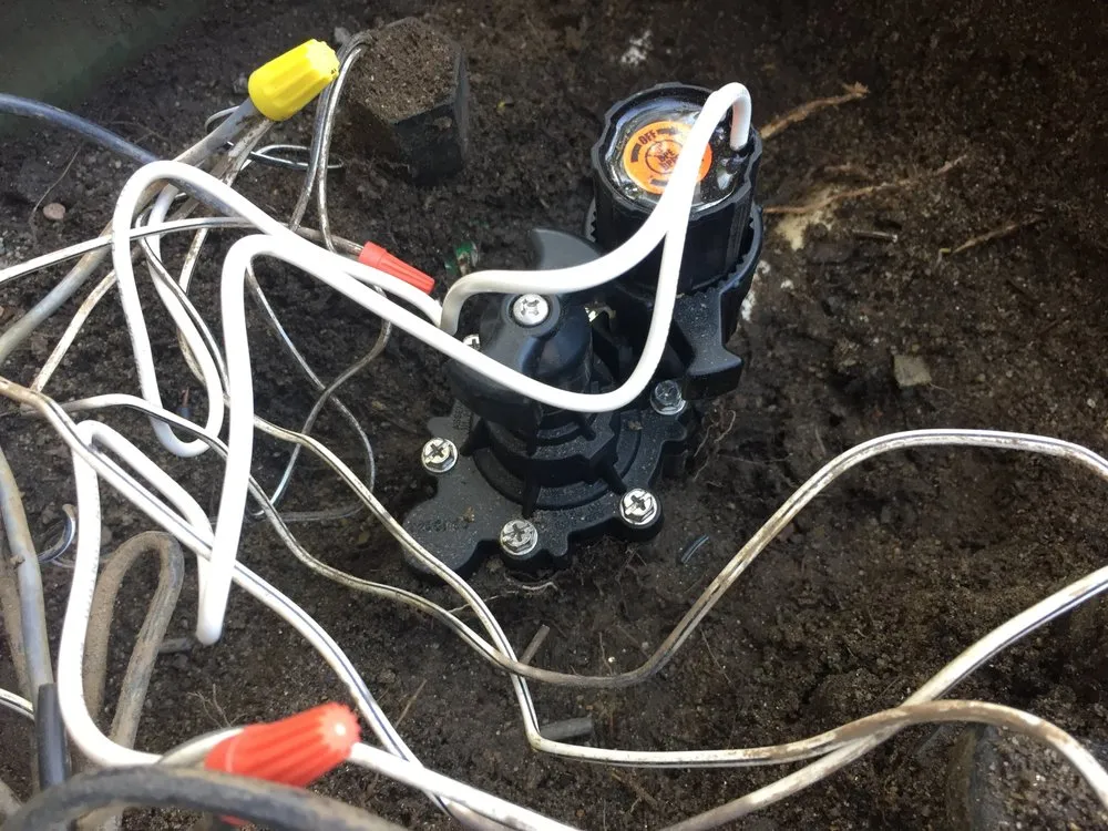 Professional lawn care service for beautiful yards in El Cajon, CA by Sunlite Landscape