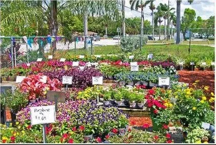 Professional landscaping services in Fort Myers, FL - Sunman's Nursery & Landscaping