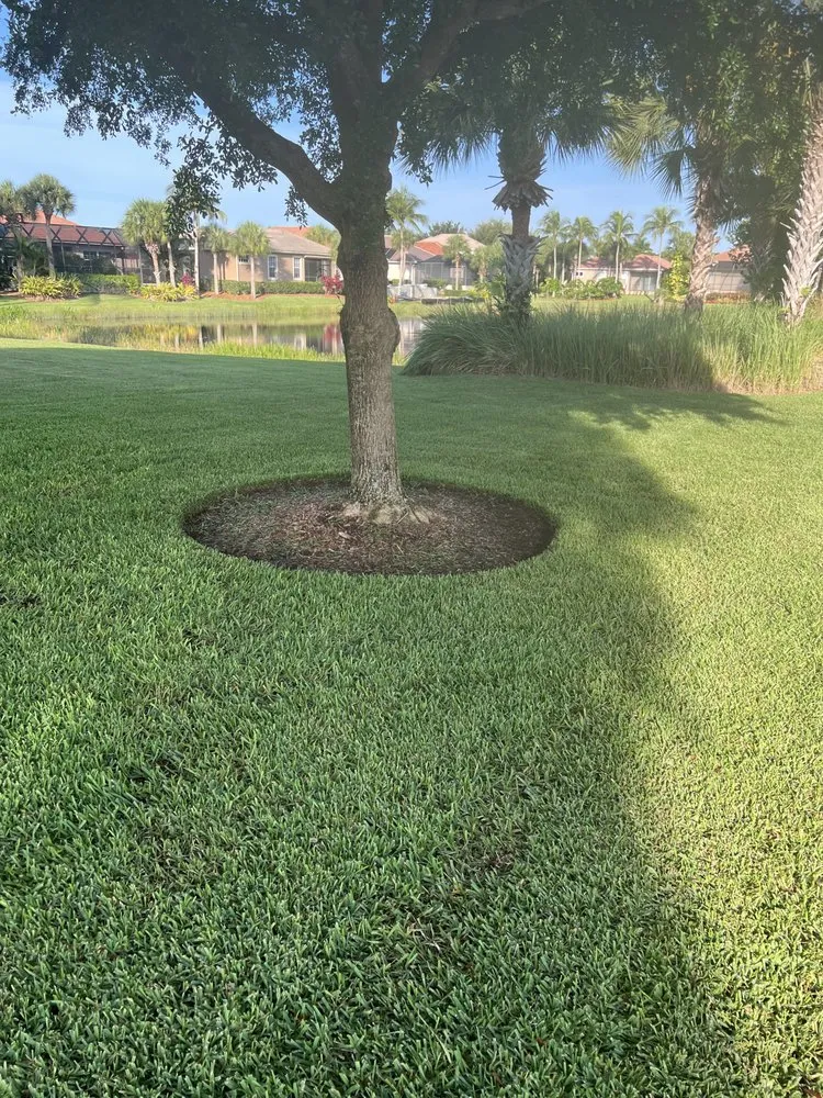 Affordable yard cleanup service with custom design across Lehigh Acres, FL - Sunnscapes