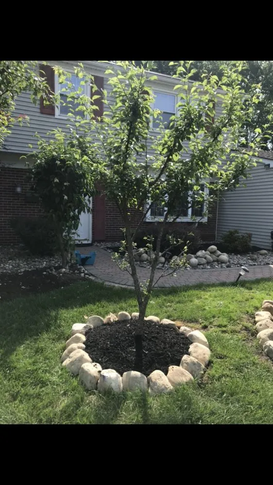 Reliable yard maintenance in Aberdeen Township, NJ - Sunny Blossoms Landscaping