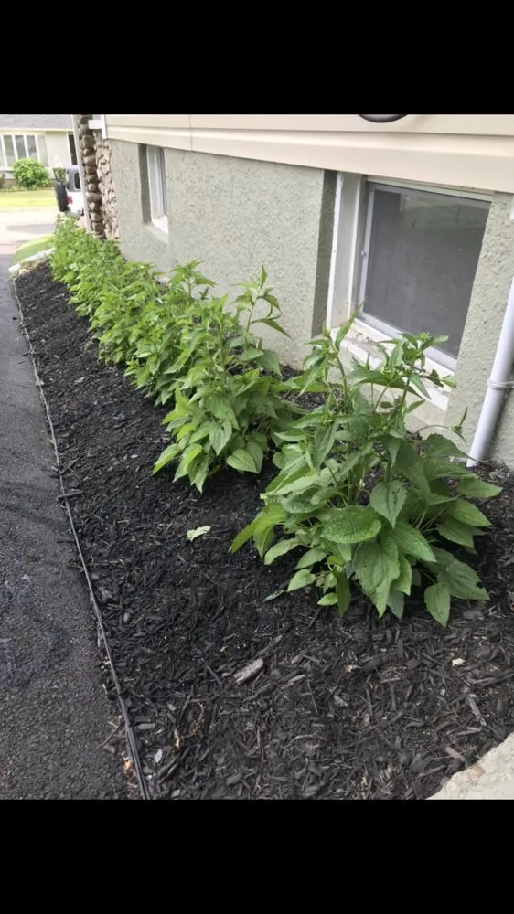 Custom garden landscaping in Aberdeen Township, NJ by Sunny Blossoms Landscaping