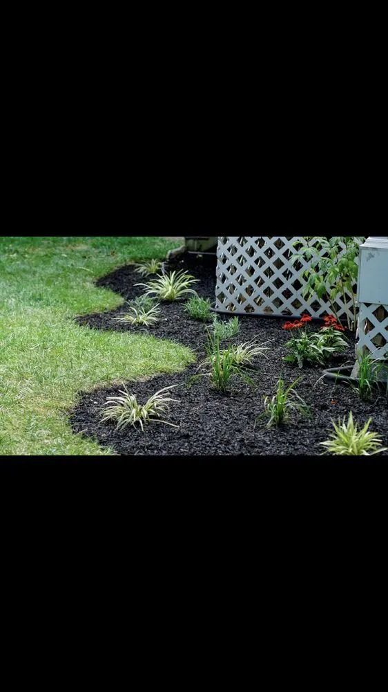 Expert lawn care service for outdoor upgrades across Aberdeen Township, NJ - Sunny Blossoms Landscaping