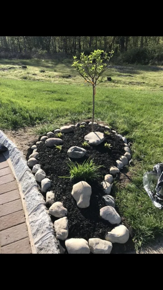 Trusted lawn care service for beautiful yards across Aberdeen Township, NJ - Sunny Blossoms Landscaping