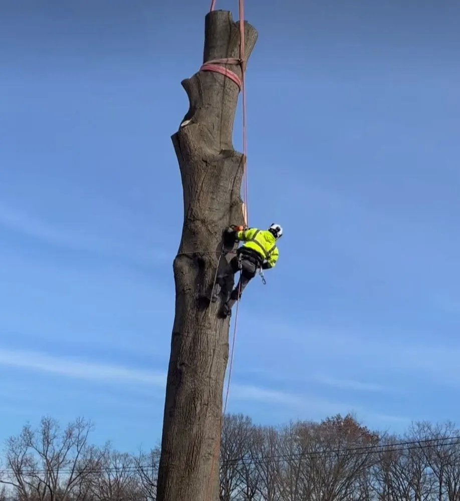 Top-rated landscape installation experts serving Edgewood, MD - Sunny Day Landscaping and More