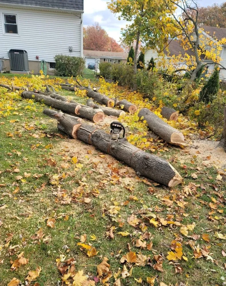 Top-rated landscape design experts serving Edgewood, MD - Sunny Day Landscaping and More