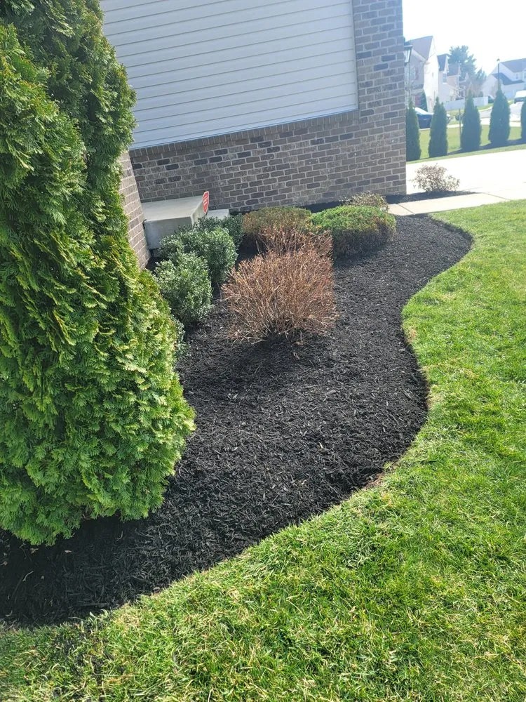 Top-rated lawn care service near you in Edgewood, MD by Sunny Day Landscaping and More