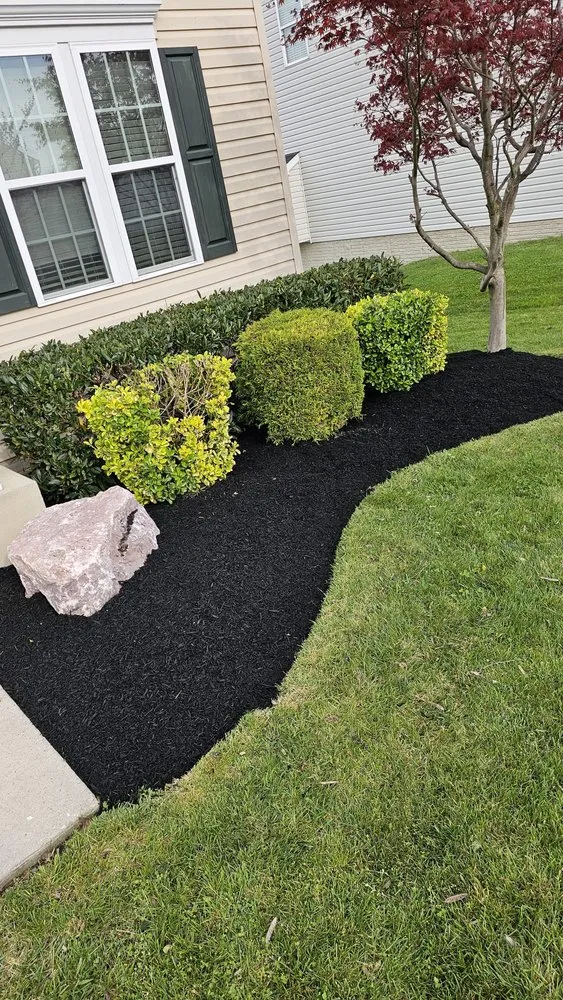 Top-rated lawn care service for beautiful yards in Edgewood, MD by Sunny Day Landscaping and More