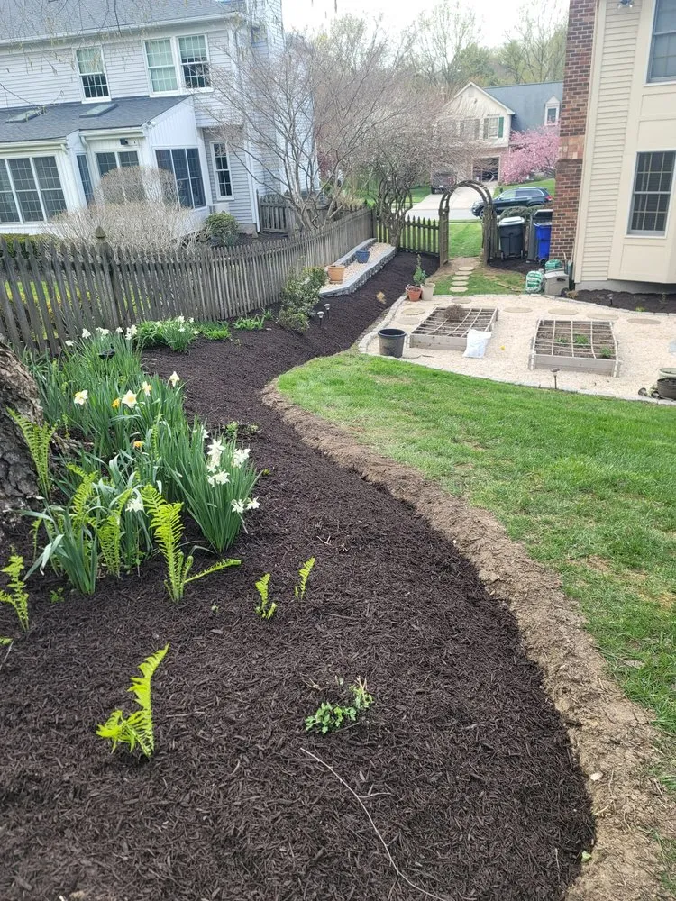 Top-rated outdoor landscaping for beautiful yards across Edgewood, MD - Sunny Day Landscaping and More