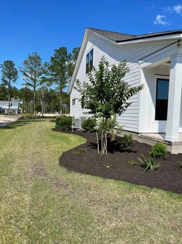 Professional lawn care service in New Bern, NC - Sunny Day Lawn and Landscaping