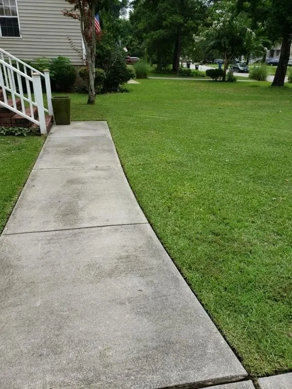 Expert yard maintenance near you across New Bern, NC - Sunny Day Lawn and Landscaping