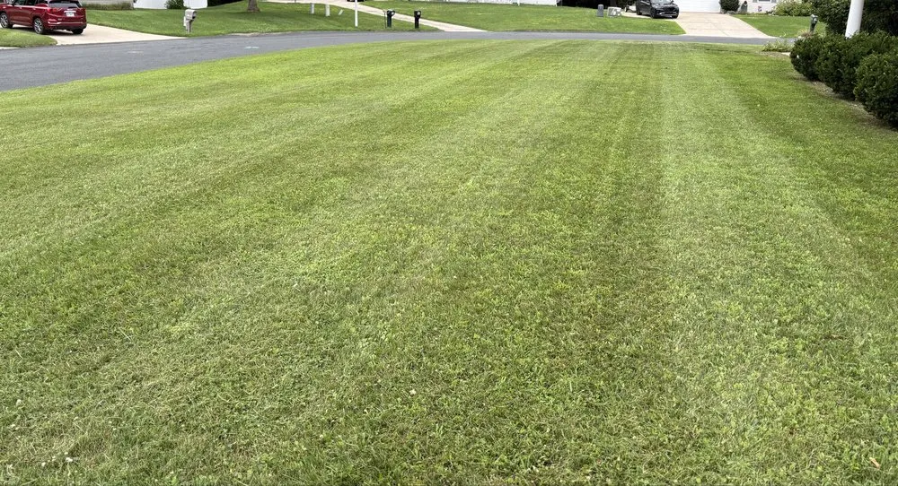 Custom landscape design with custom design across Battle Creek, MI - Sunny Days Lawn Care