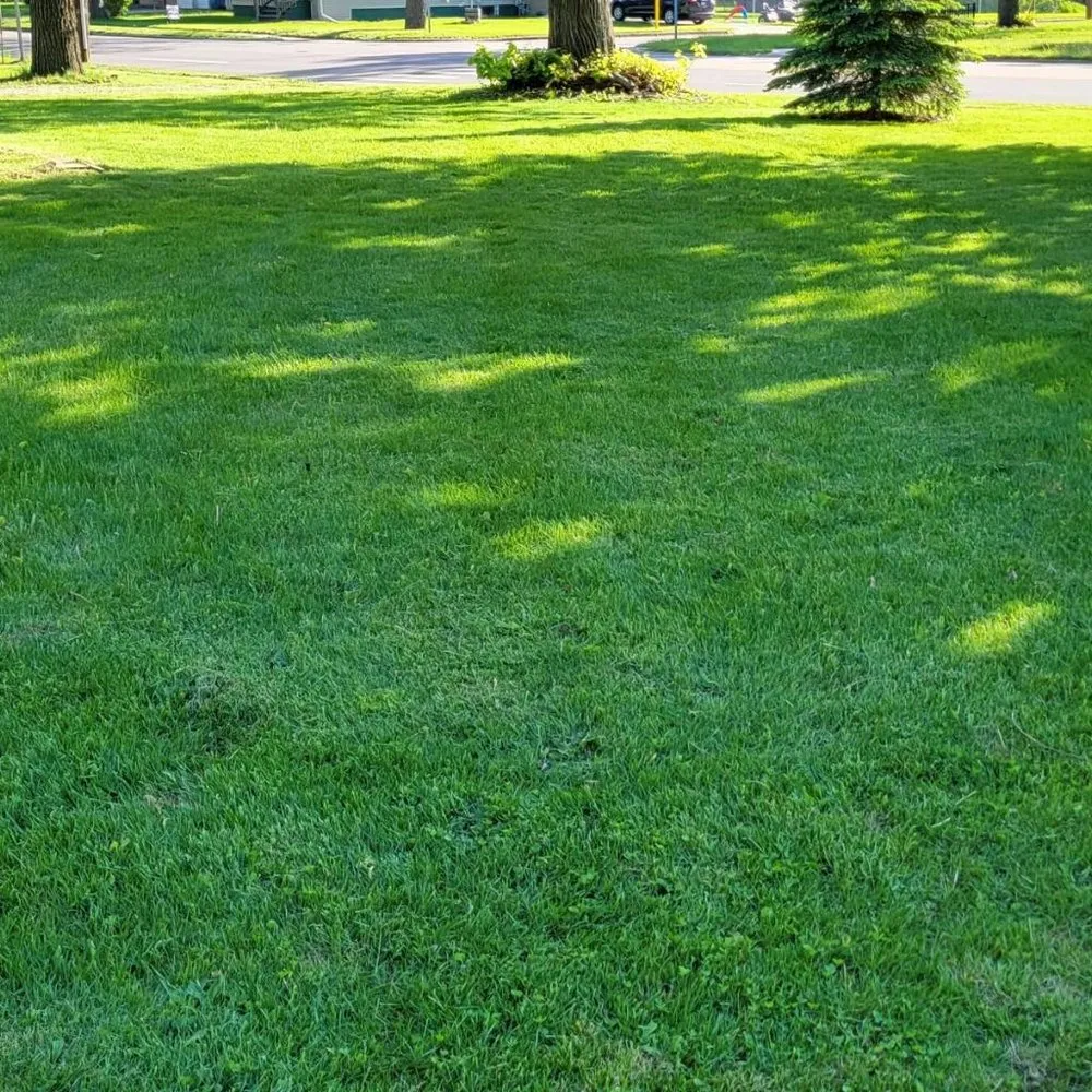 Custom landscape installation in Battle Creek, MI - Sunny Days Lawn Care