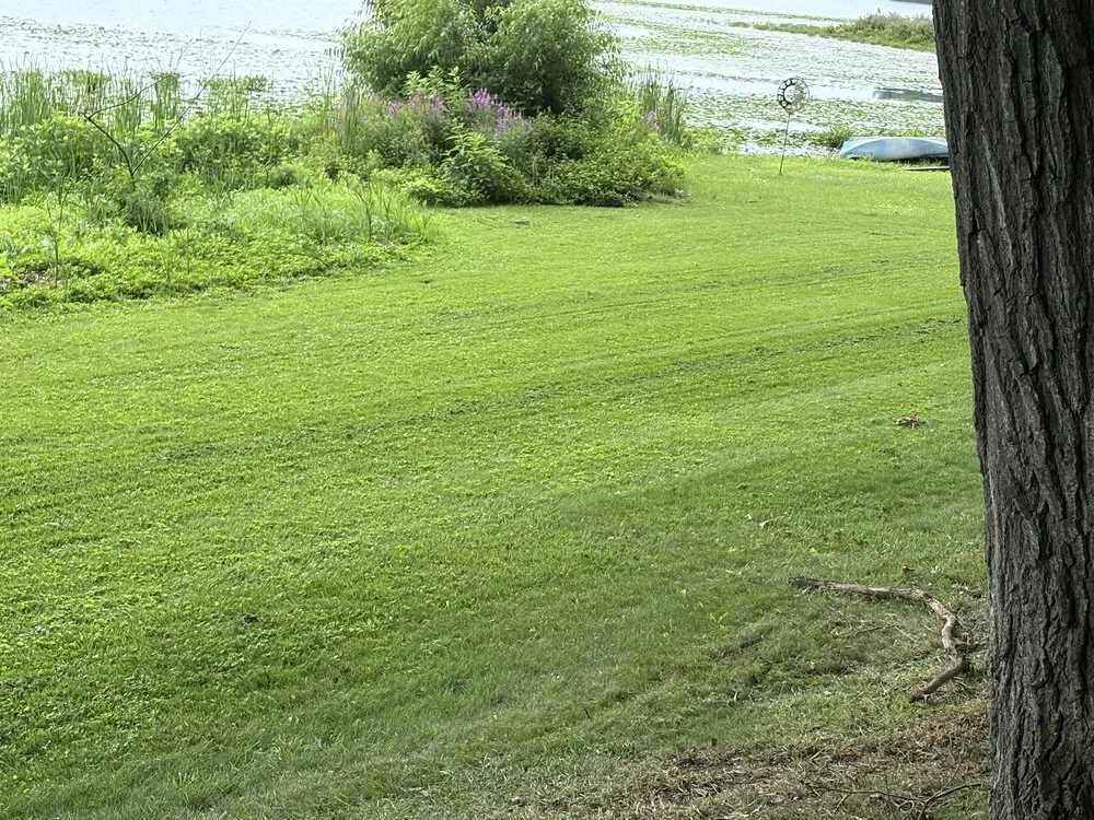 Custom lawn mowing service for outdoor upgrades in Battle Creek, MI by Sunny Days Lawn Care