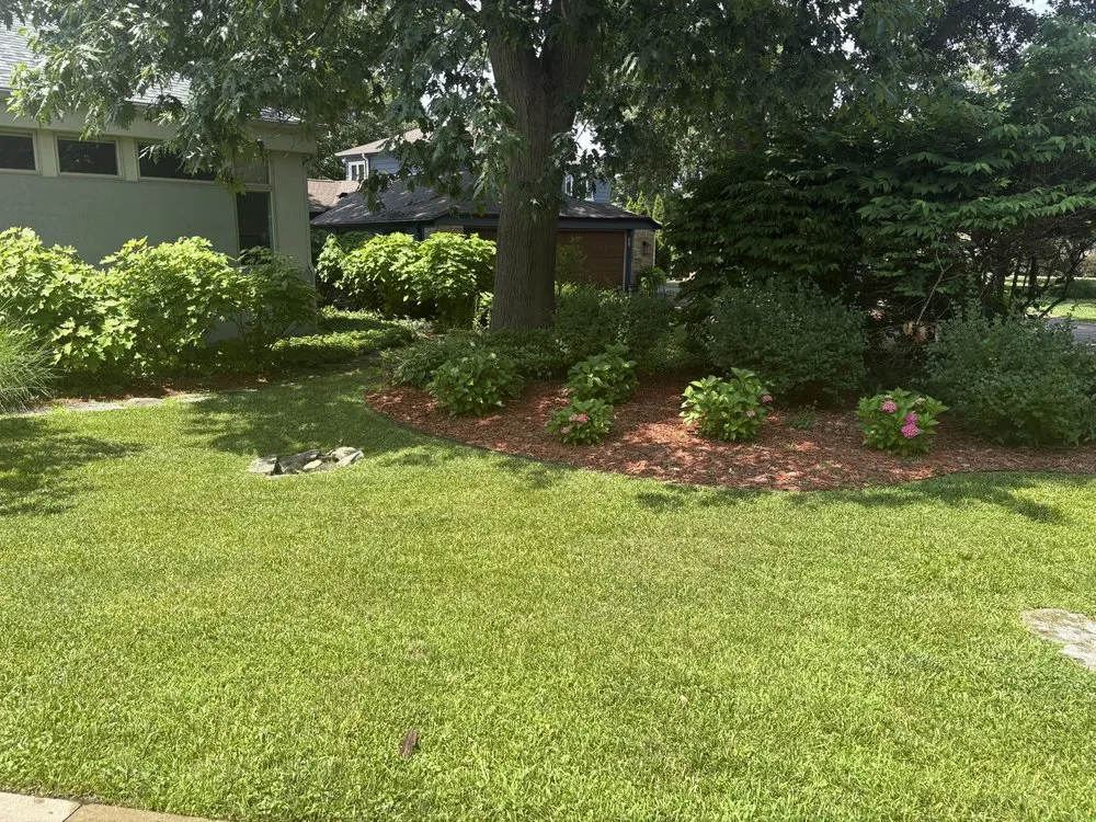 Custom yard cleanup service in Battle Creek, MI by Sunny Days Lawn Care
