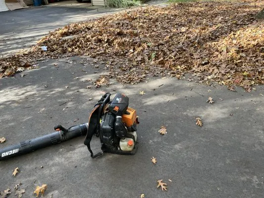 Sunny Days Lawn Care