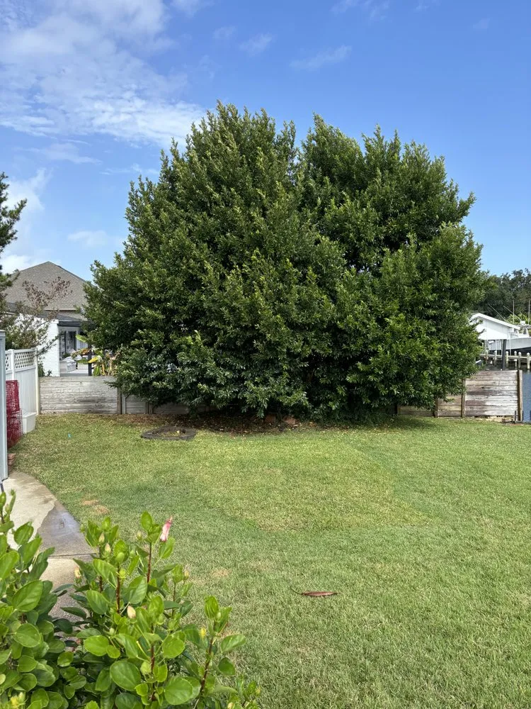 Affordable residential landscaping in Gulf Breeze, FL - Sunny Dayz Lawn Care