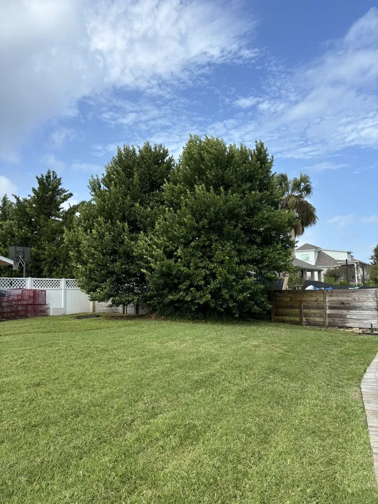 Top-rated lawn care service for homes in Gulf Breeze, FL by Sunny Dayz Lawn Care