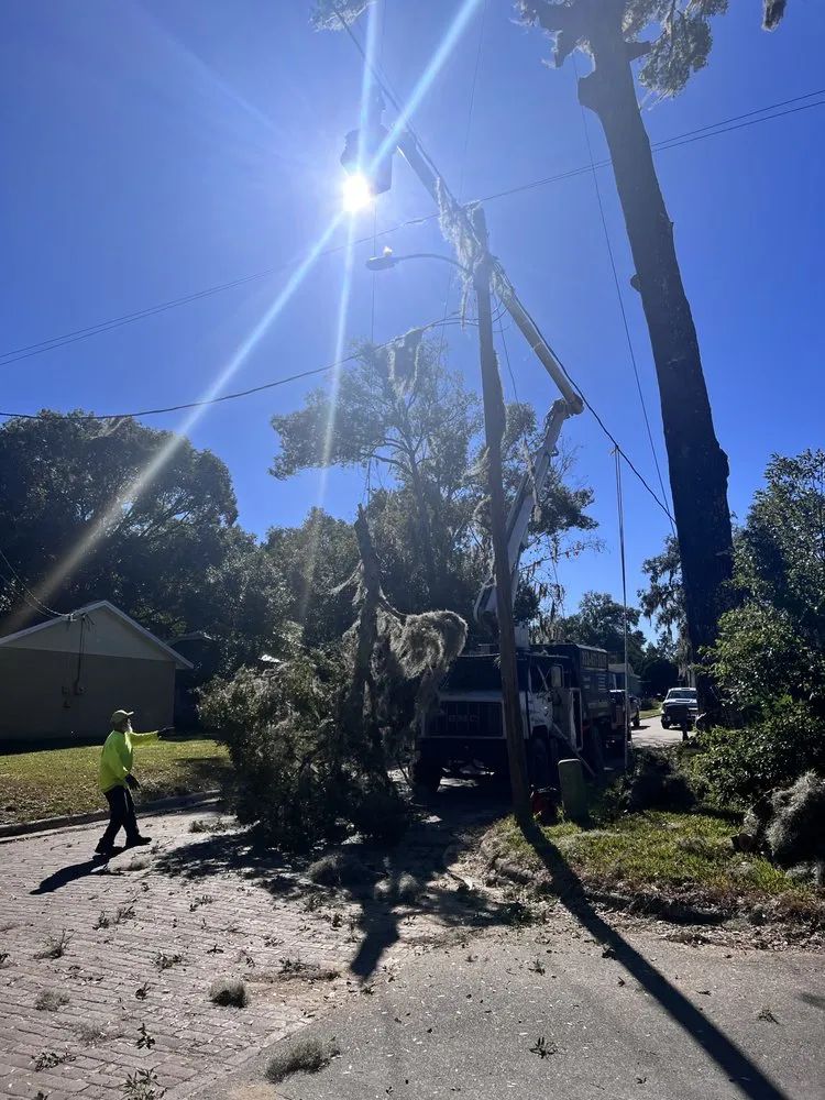 Top-rated lawn care service for residential properties across Meadow Woods, FL - Sunny Dayz Tree And Landscape