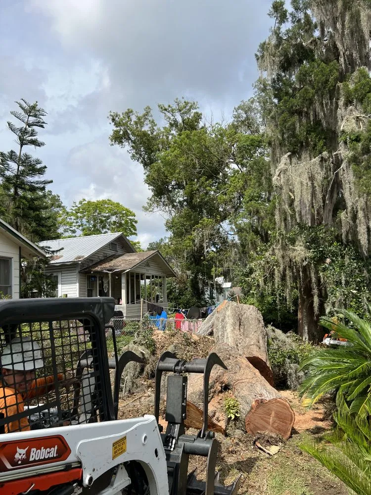Reliable landscape installation for outdoor upgrades across Meadow Woods, FL - Sunny Dayz Tree And Landscape