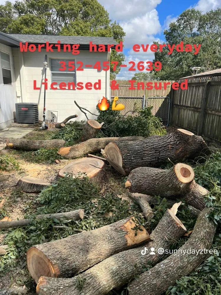 Affordable garden landscaping in Meadow Woods, FL - Sunny Dayz Tree And Landscape