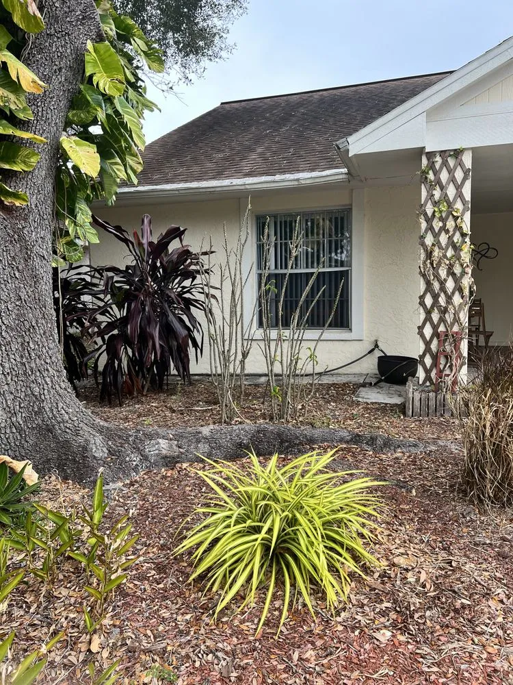 Local yard cleanup service in Meadow Woods, FL by Sunny Dayz Tree And Landscape