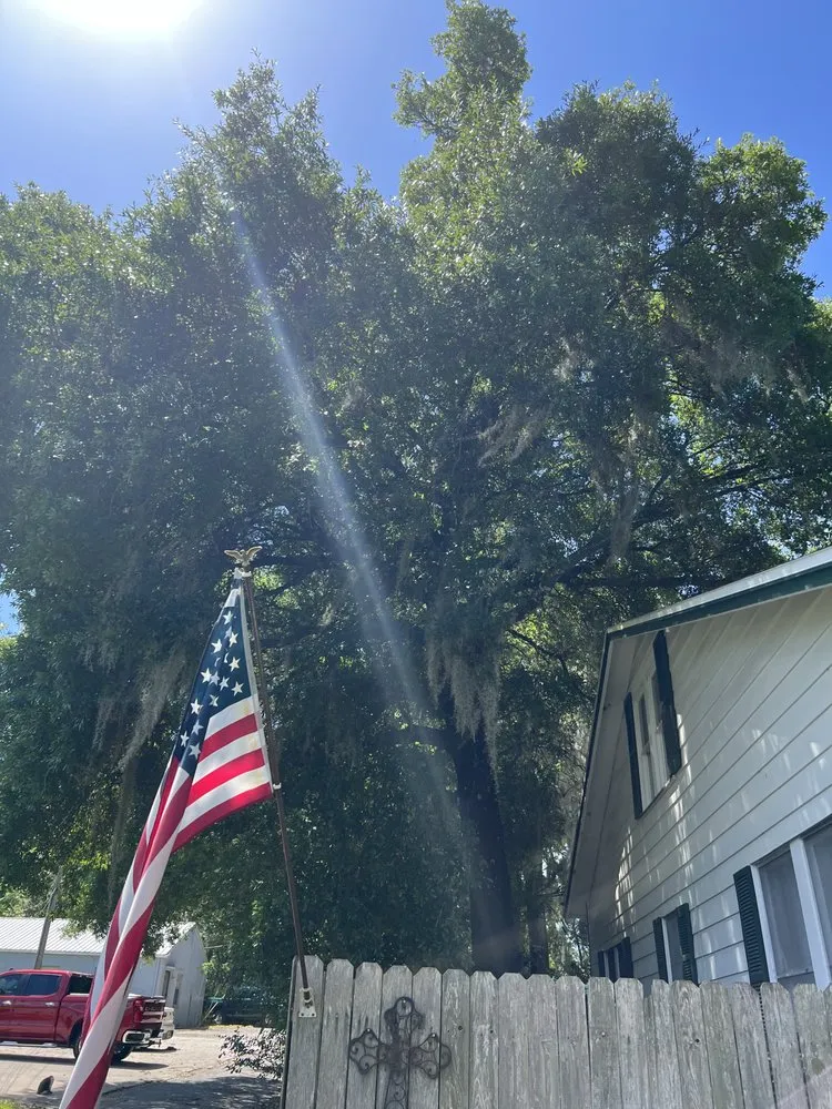 Top-rated landscape installation near you in Meadow Woods, FL by Sunny Dayz Tree And Landscape