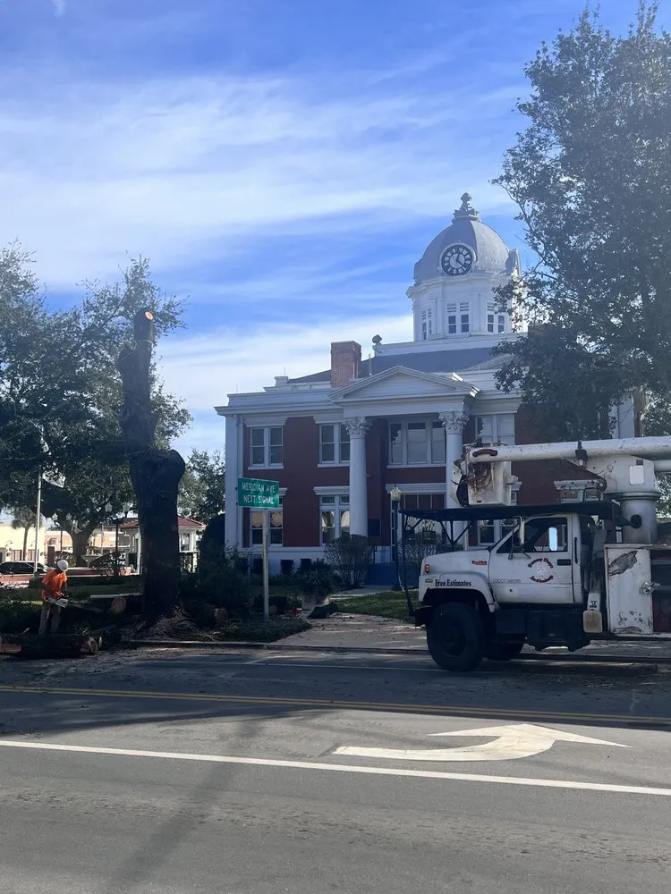 Affordable yard cleanup service with custom design across Meadow Woods, FL - Sunny Dayz Tree And Landscape