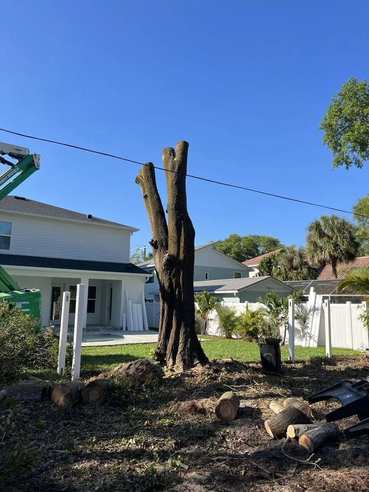 Top-rated landscape design for homes in Meadow Woods, FL by Sunny Dayz Tree And Landscape