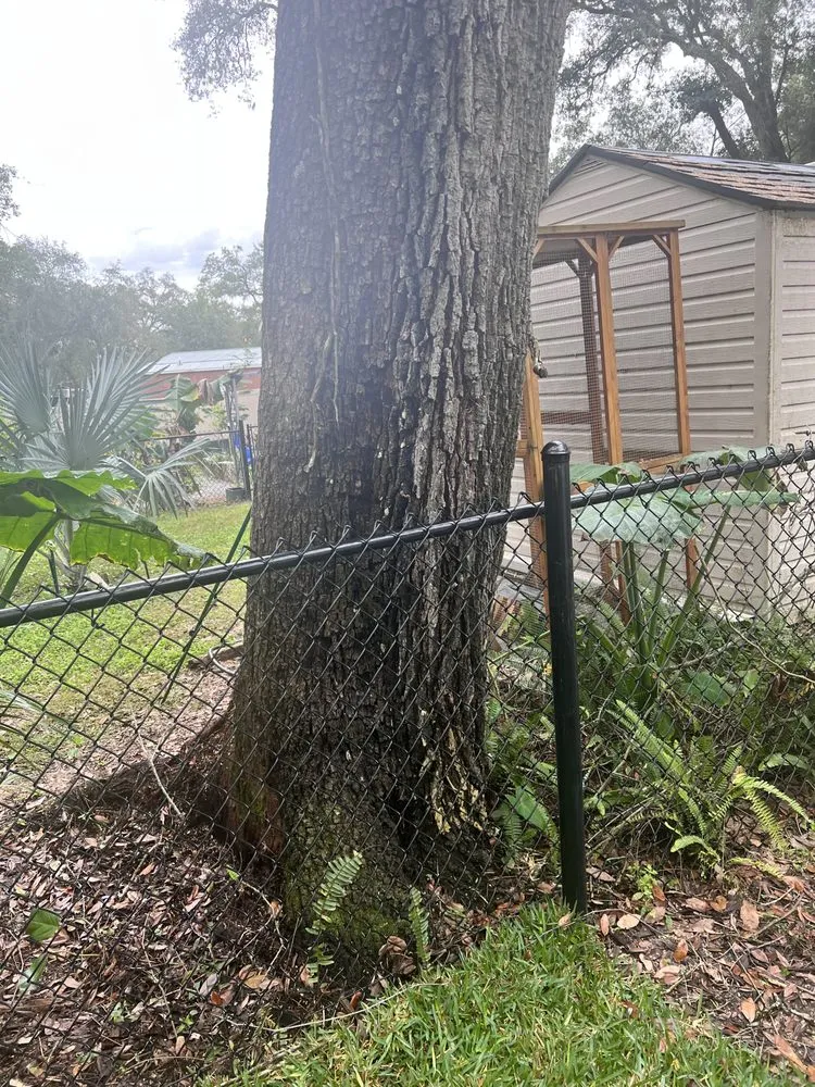 Local lawn mowing service for outdoor upgrades in Meadow Woods, FL by Sunny Dayz Tree And Landscape