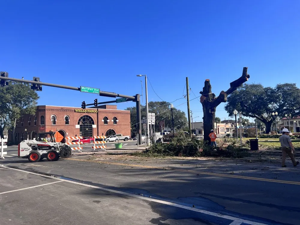 Expert yard maintenance in Meadow Woods, FL - Sunny Dayz Tree And Landscape
