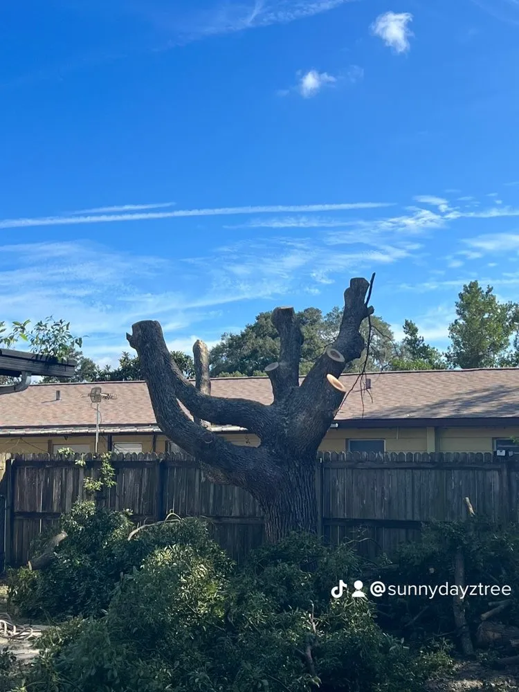 Reliable lawn care service for beautiful yards in Meadow Woods, FL by Sunny Dayz Tree And Landscape